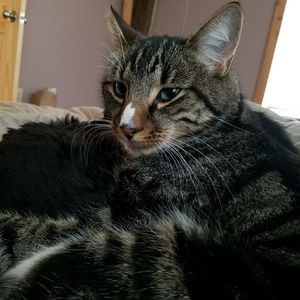 Meet your Posher, Rhonda